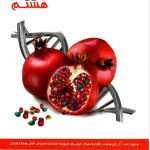 علوم هشتم زیست و زمین شناسی علامه حلی