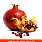فیزیک هفتم علامه حلی