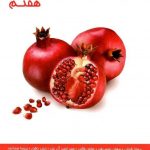 علوم هفتم بخش زیست و زمین شناسی علامه حلی